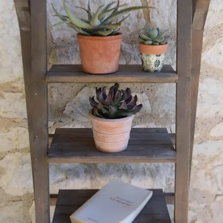 Les Terrasses De La Serre * Lascabanes