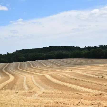 Les Terrasses De La Serre Dom wakacyjny *
