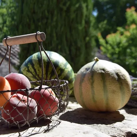 Les Terrasses De La Serre